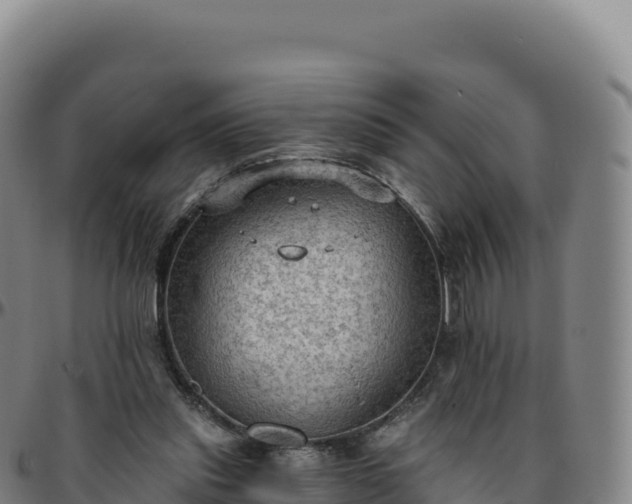 X0000096490253200801311624