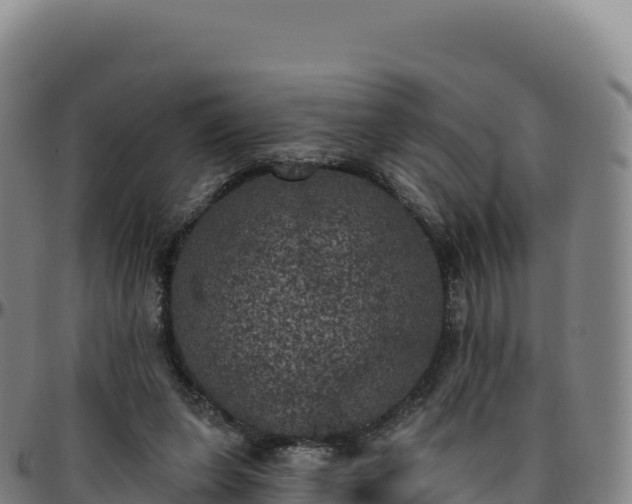 X0000096490255200801311624