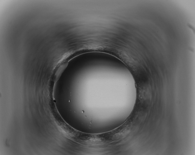 X0000096490256200801311624