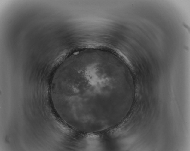 X0000096490257200801311624