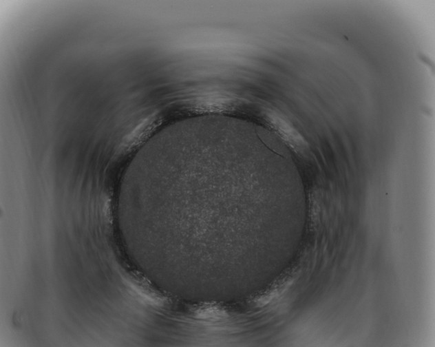 X0000096490258200801311624