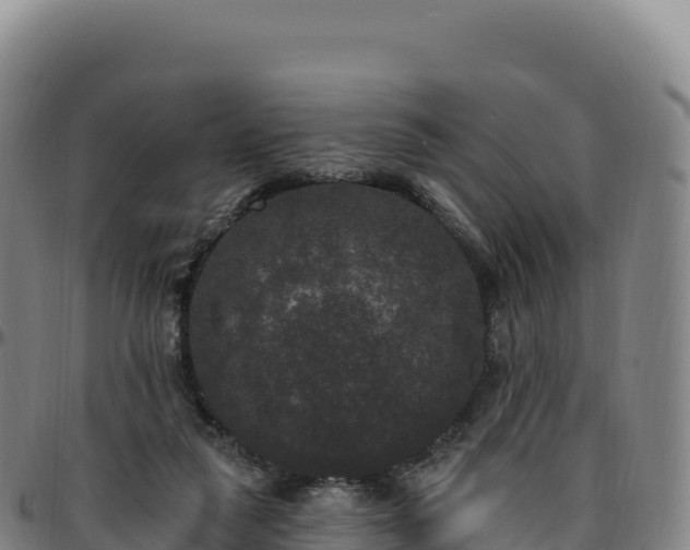 X0000096490259200801311624