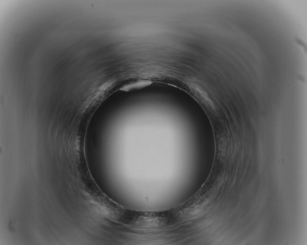 X0000096490260200801311624