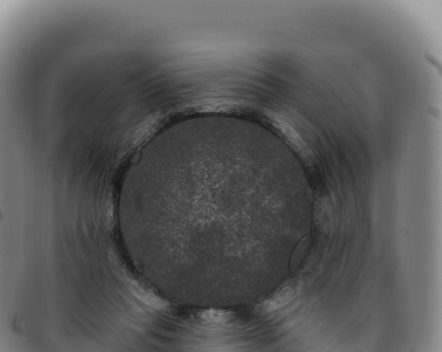 X0000096490261200801311624