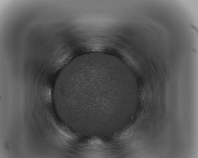 X0000096490262200801311624