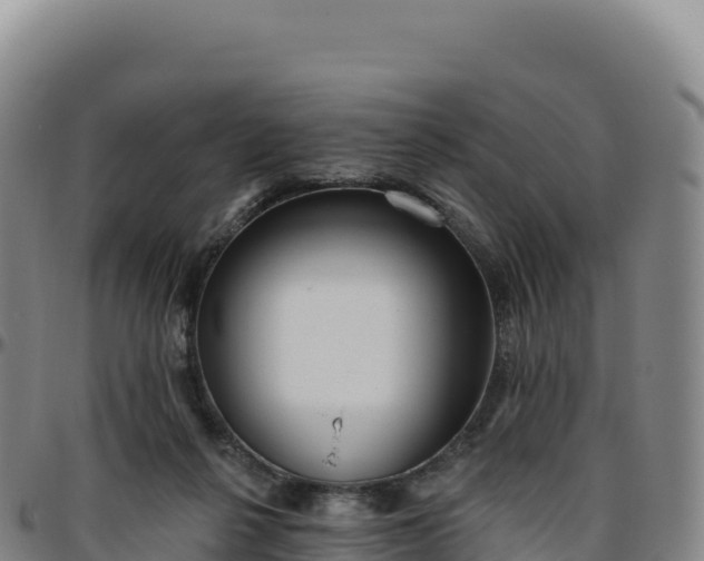 X0000096490264200801311624