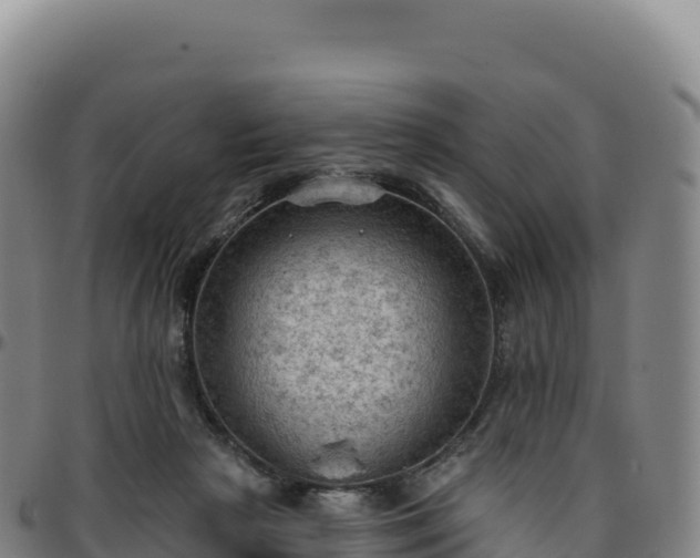 X0000096490265200801311625