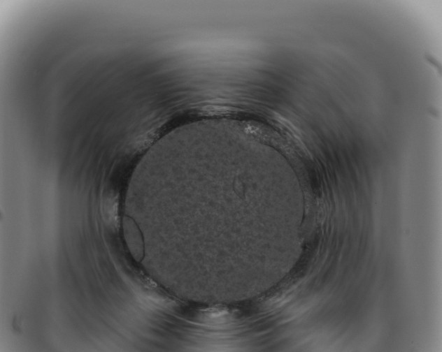 X0000096490267200801311625