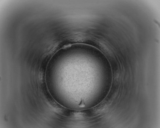 X0000096490268200801311625