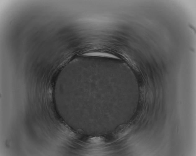 X0000096490269200801311625