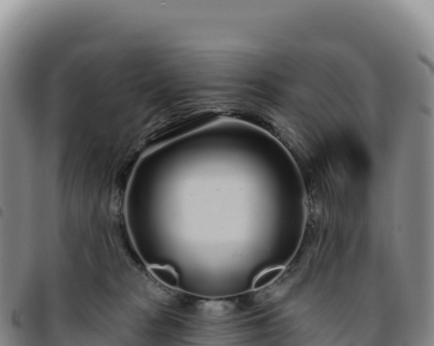 X0000096490277200801311625