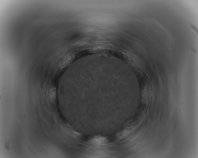 X0000096490278200801311625