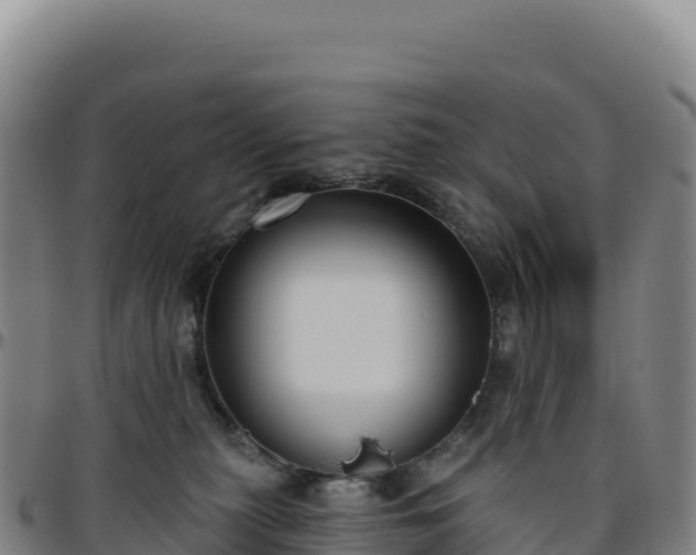 X0000096490279200801311625