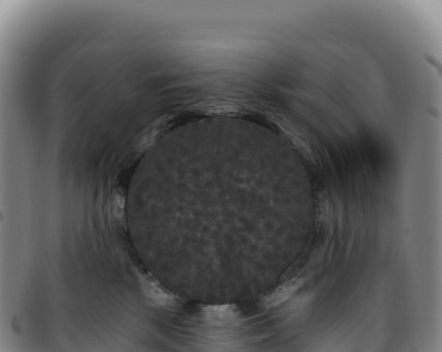 X0000096490281200801311625