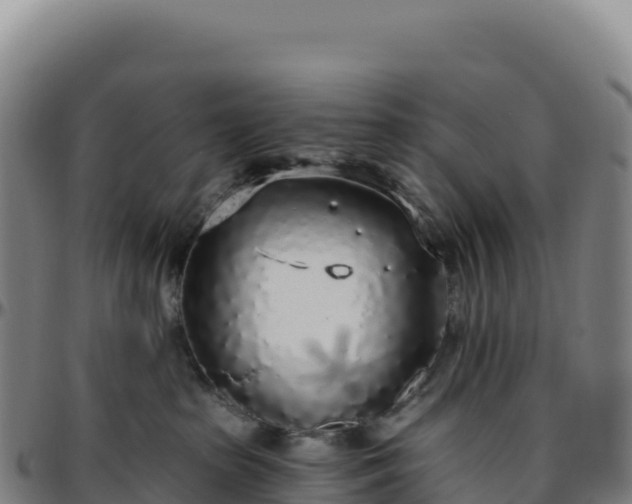 X0000096490285200801311625