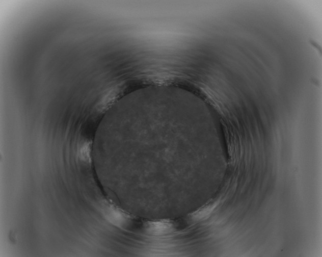 X0000096490286200801311625