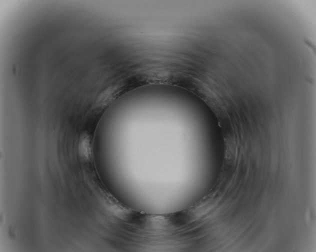 X0000096490287200801311625