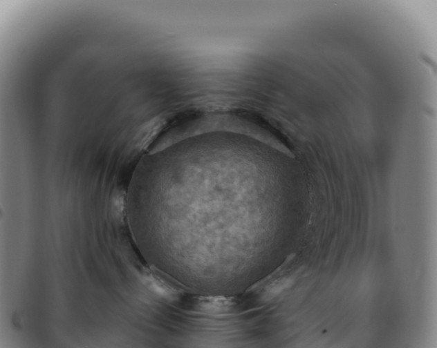 X0000096490288200801311625