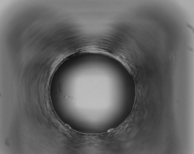 X0000096490289200801311624