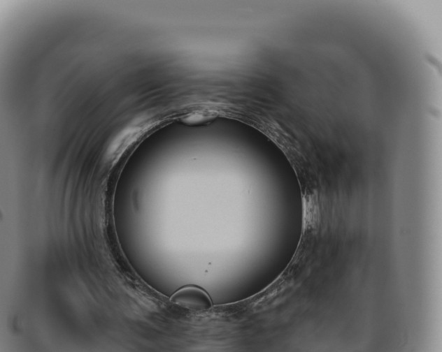 X0000096490291200801311624