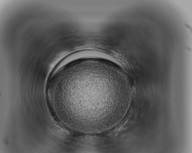 X0000096490292200801311624