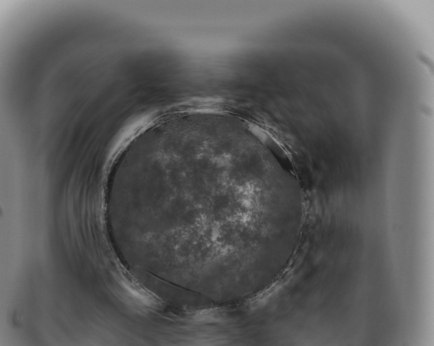 X0000096490293200801311624