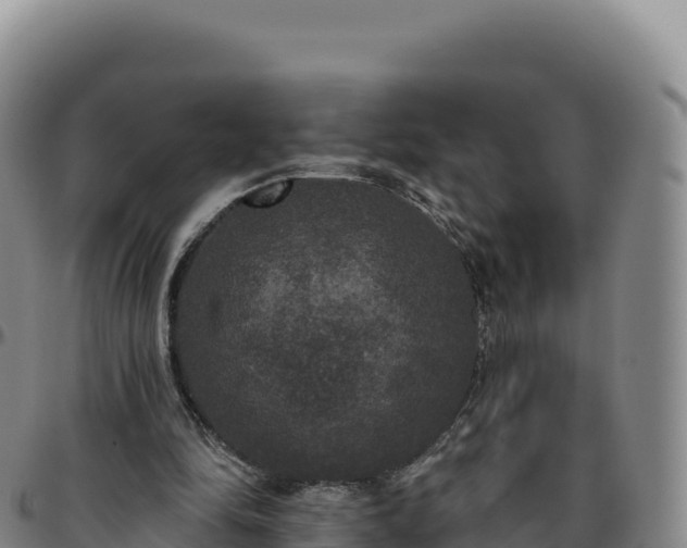 X0000096490294200801311624