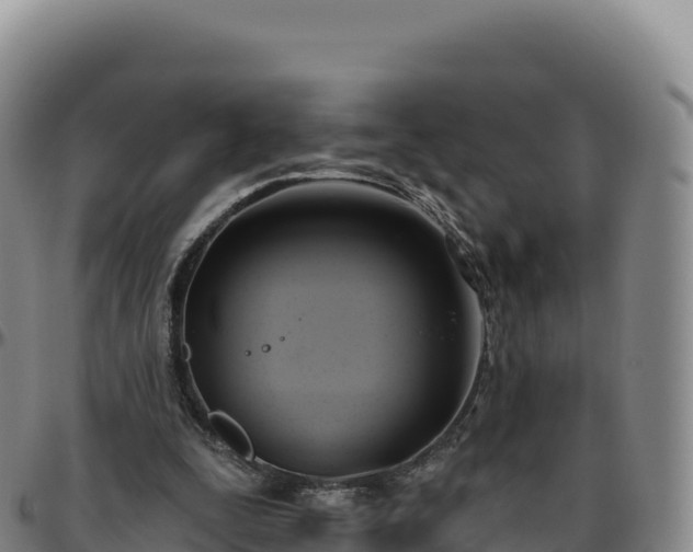 X0000096490295200801311624