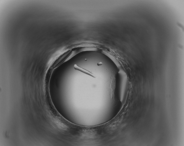 X0000096490296200801311624