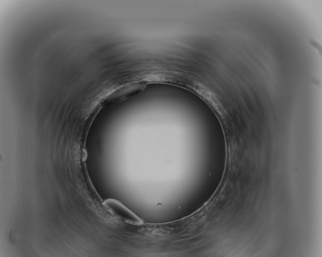 X0000096490297200801311624