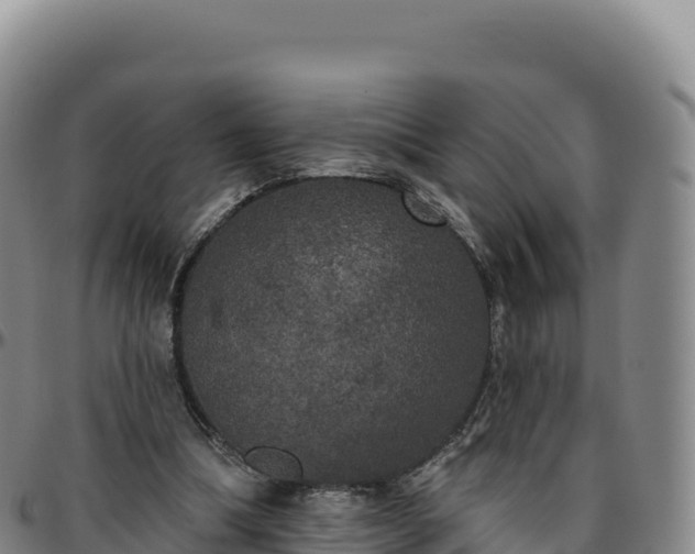 X0000096490298200801311624