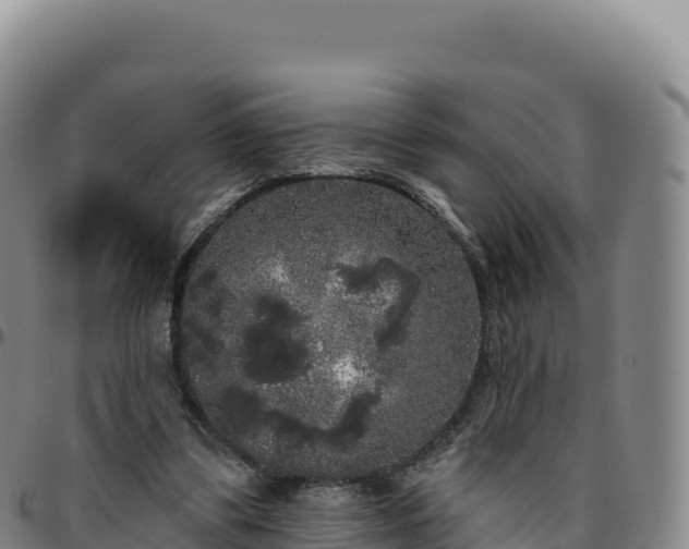 X0000096490299200801311624