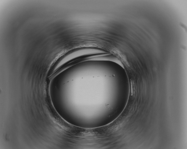 X0000096490300200801311624