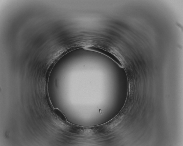 X0000096490301200801311624