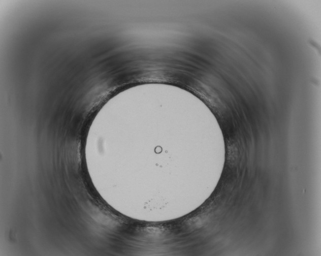 X0000096490302200801311624