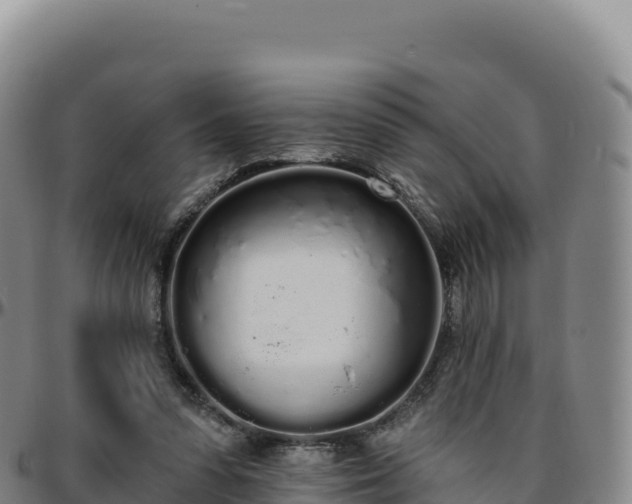 X0000096490303200801311624