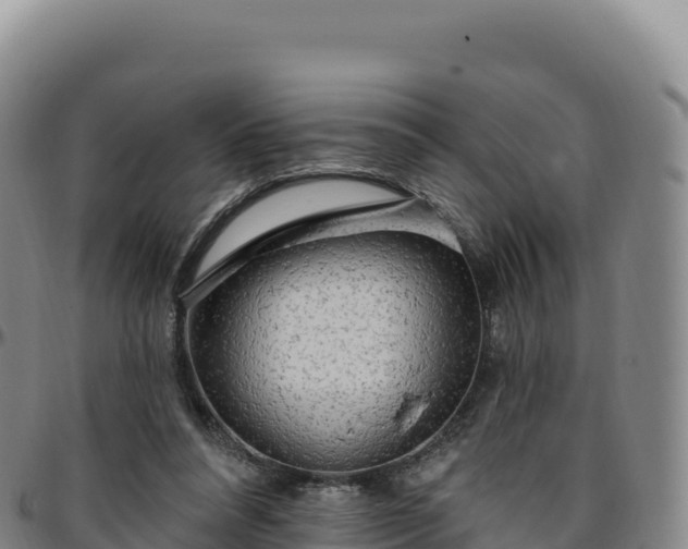 X0000096490304200801311624