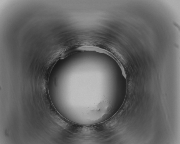 X0000096490305200801311624