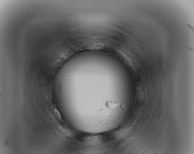 X0000096490307200801311624