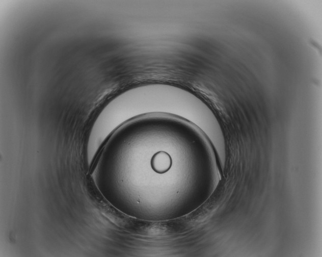 X0000096490308200801311624