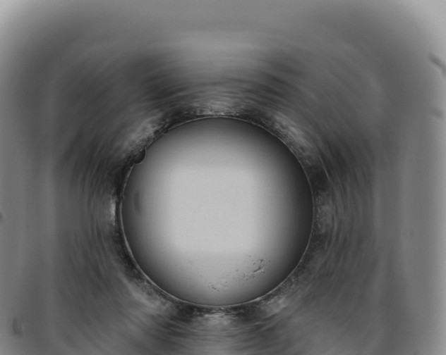 X0000096490310200801311624