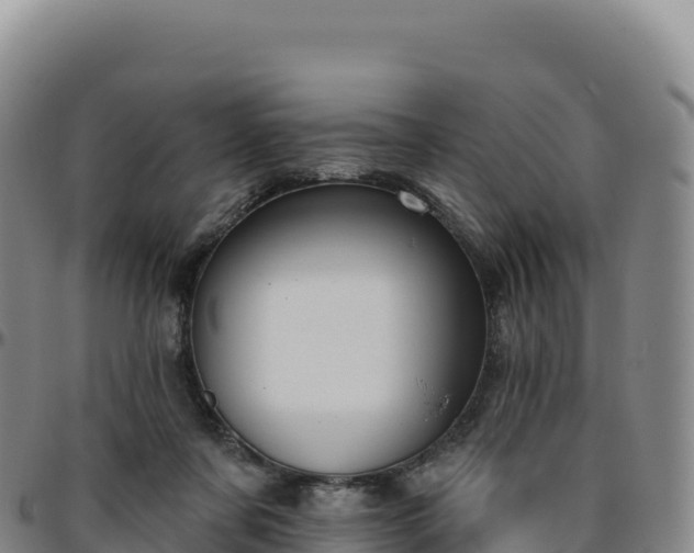 X0000096490311200801311624