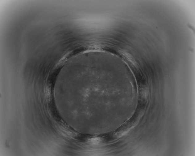 X0000096490312200801311624