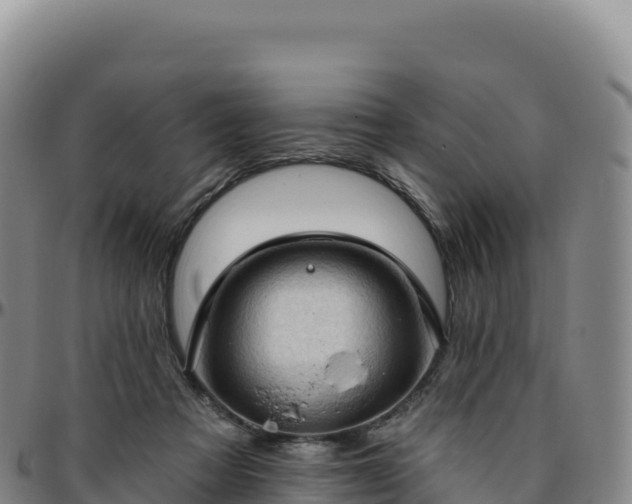 X0000096490313200801311624