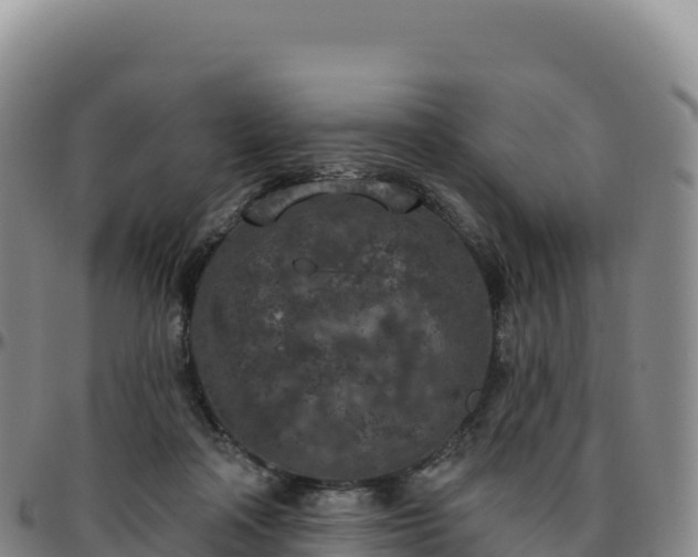 X0000096490314200801311624