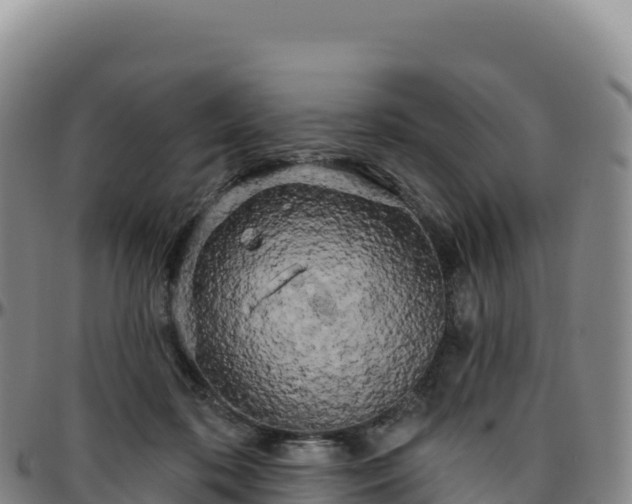 X0000096490316200801311624