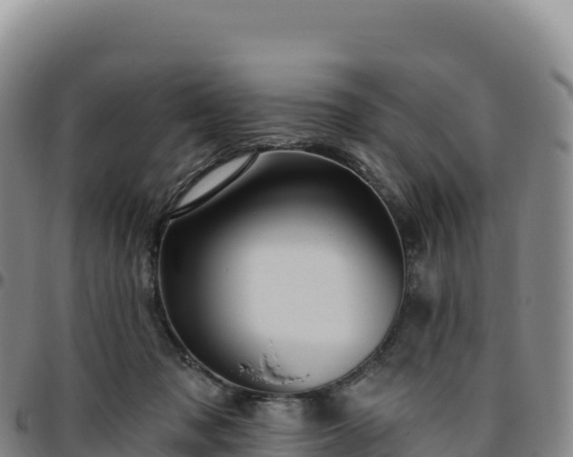 X0000096490317200801311624