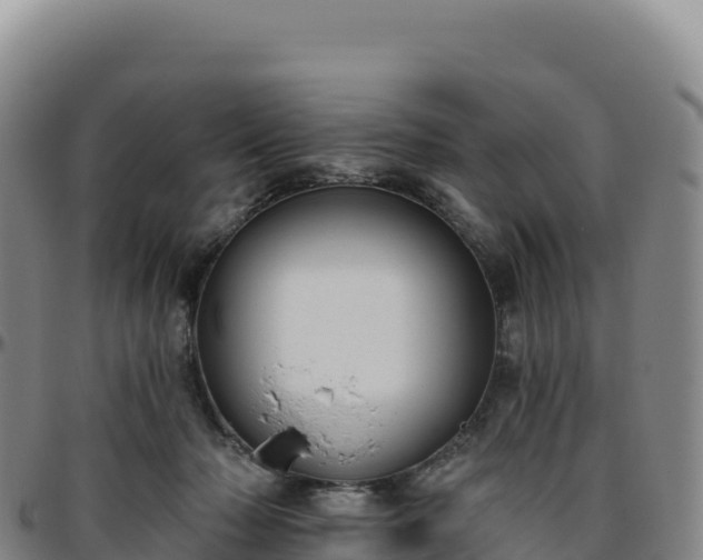 X0000096490318200801311624