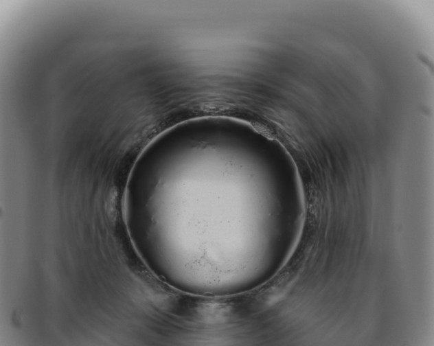 X0000096490319200801311624