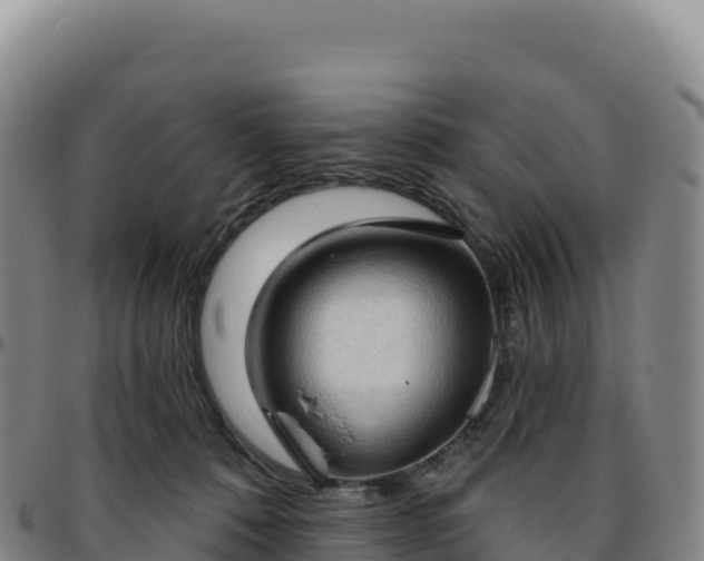 X0000096490320200801311624